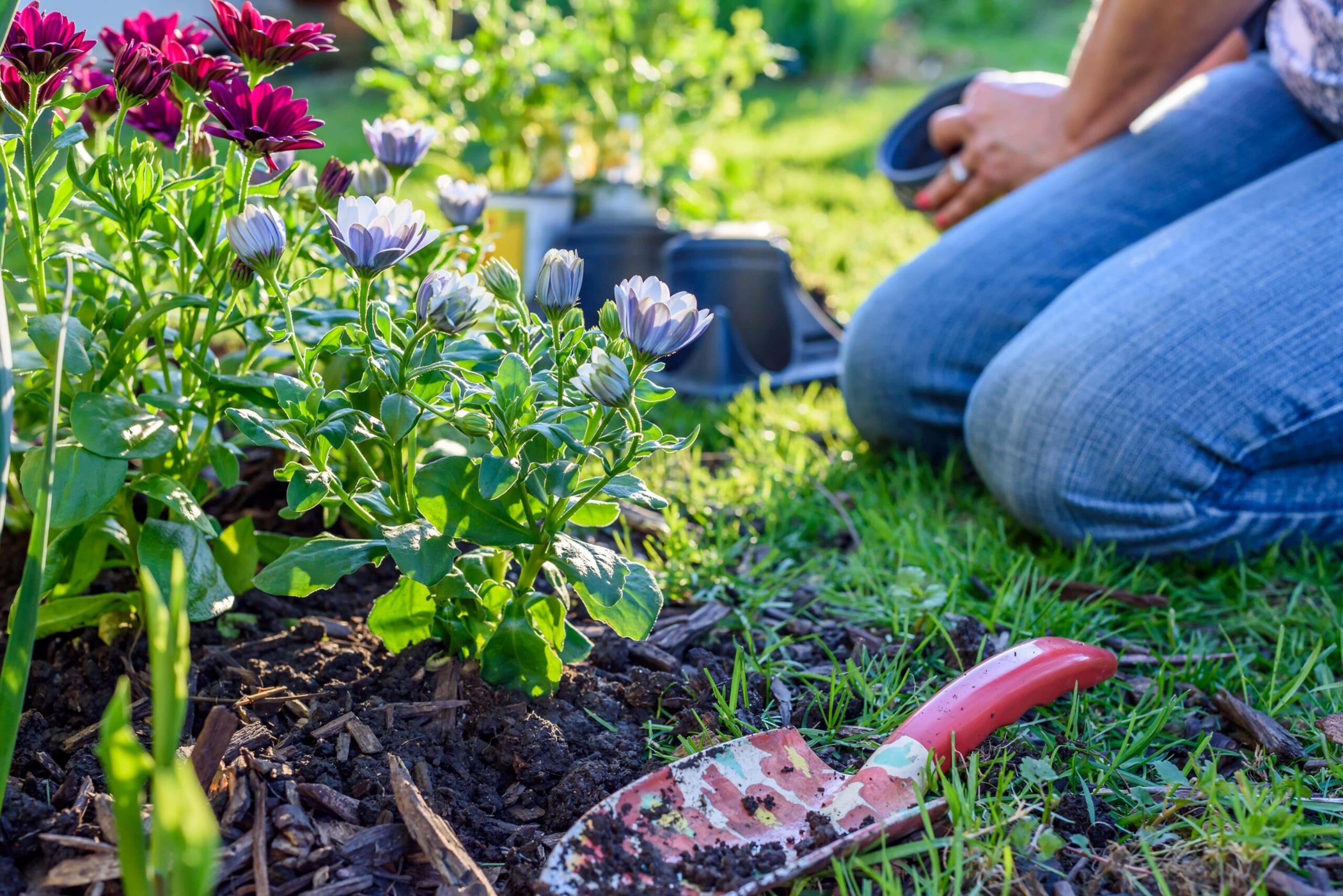 N Pic Activities Gardening Woman