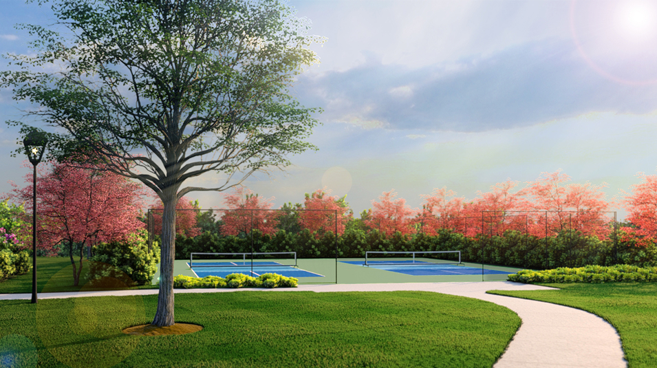 Harris Mill Amenity Pickleball 2of2 (Pickleball Court in Harris Mill)