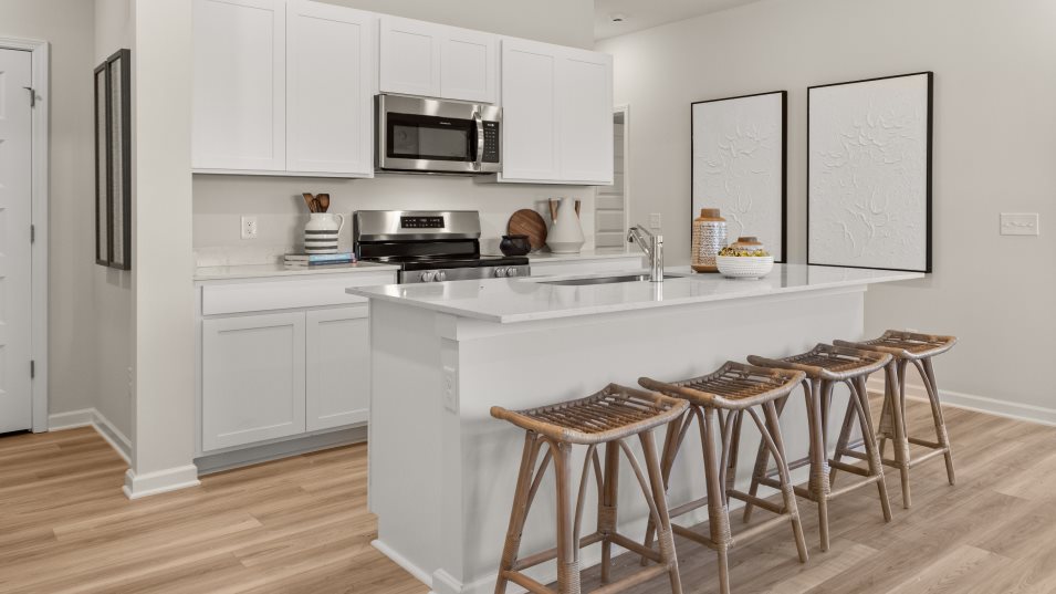 Ironwood kitchen (Ironwood (Kitchen) in Pence Place)