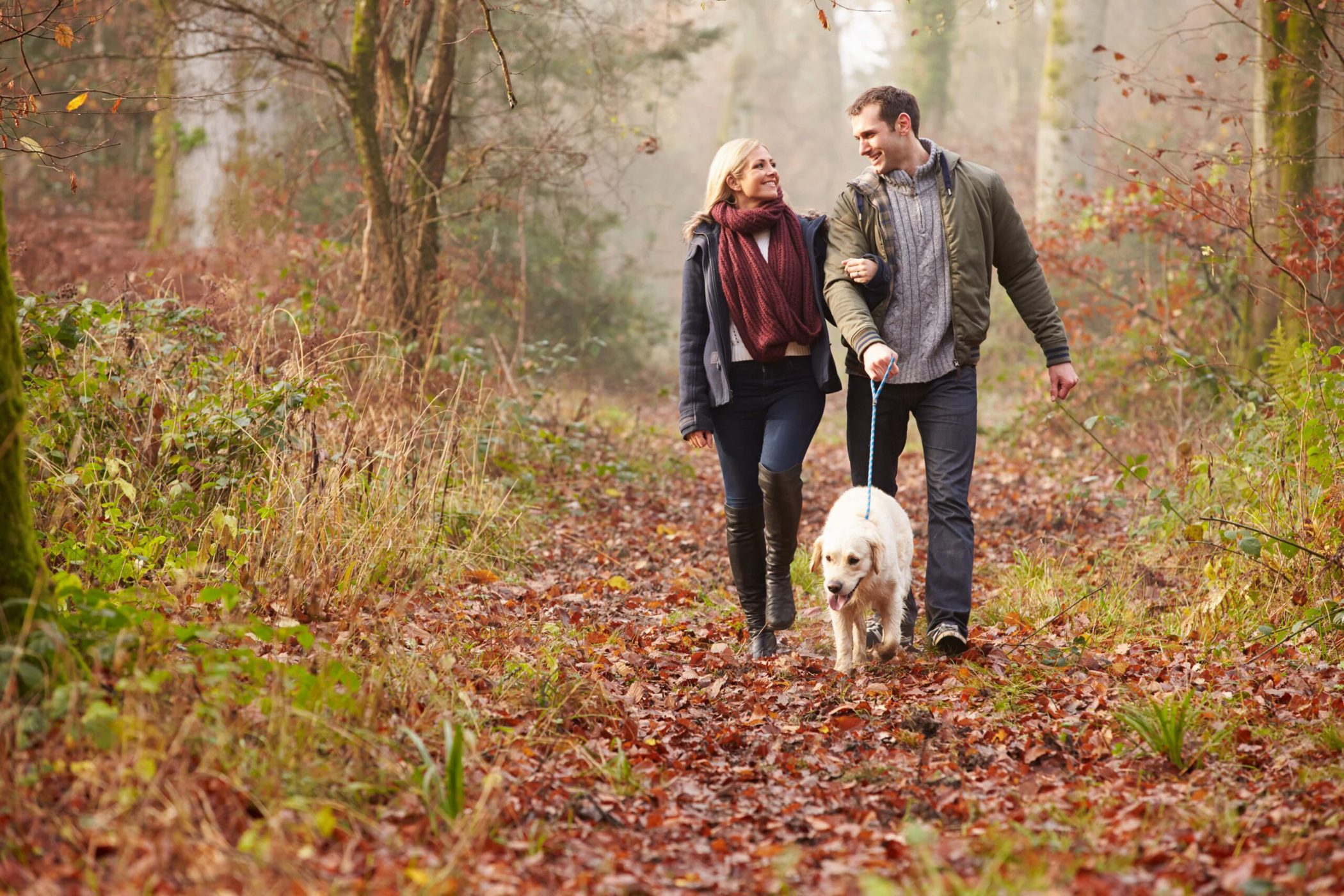 N Pic Couples Outdoors Forest Trail Walking Dog Fall