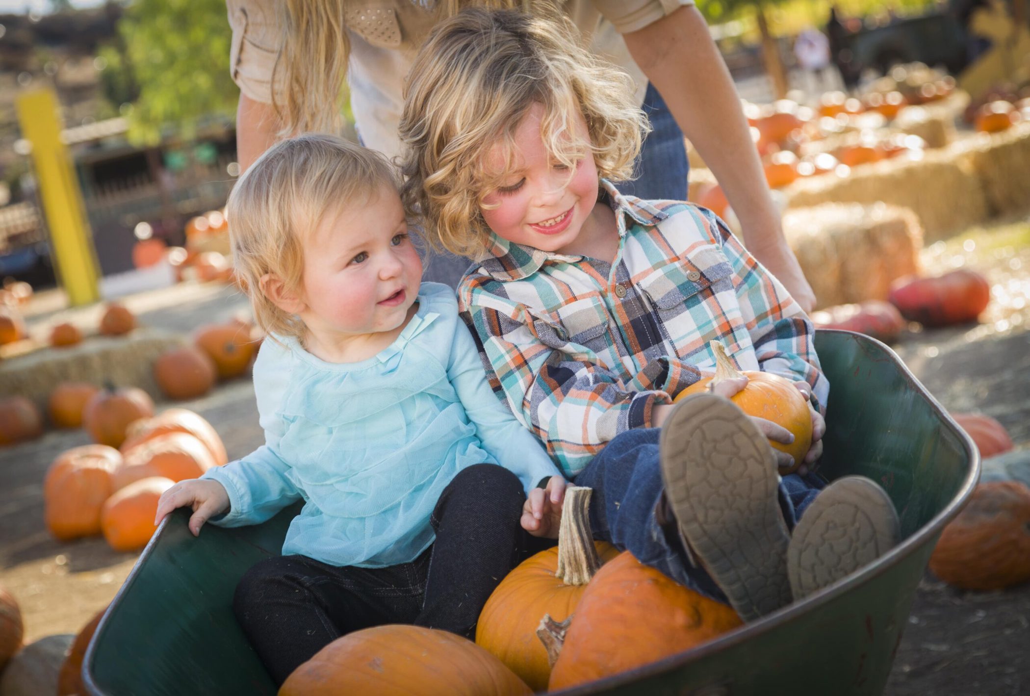 N Pic Fall Autumn Kids Pumpkin Patch Wheelbarrow