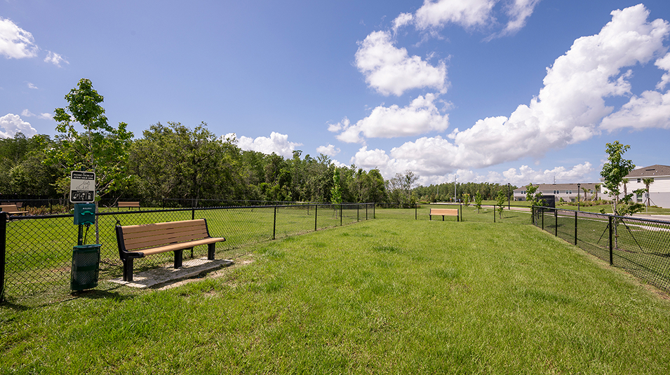 Westview Amenity Dog Park 1of2 (Dog Park in Scenic Terrace)