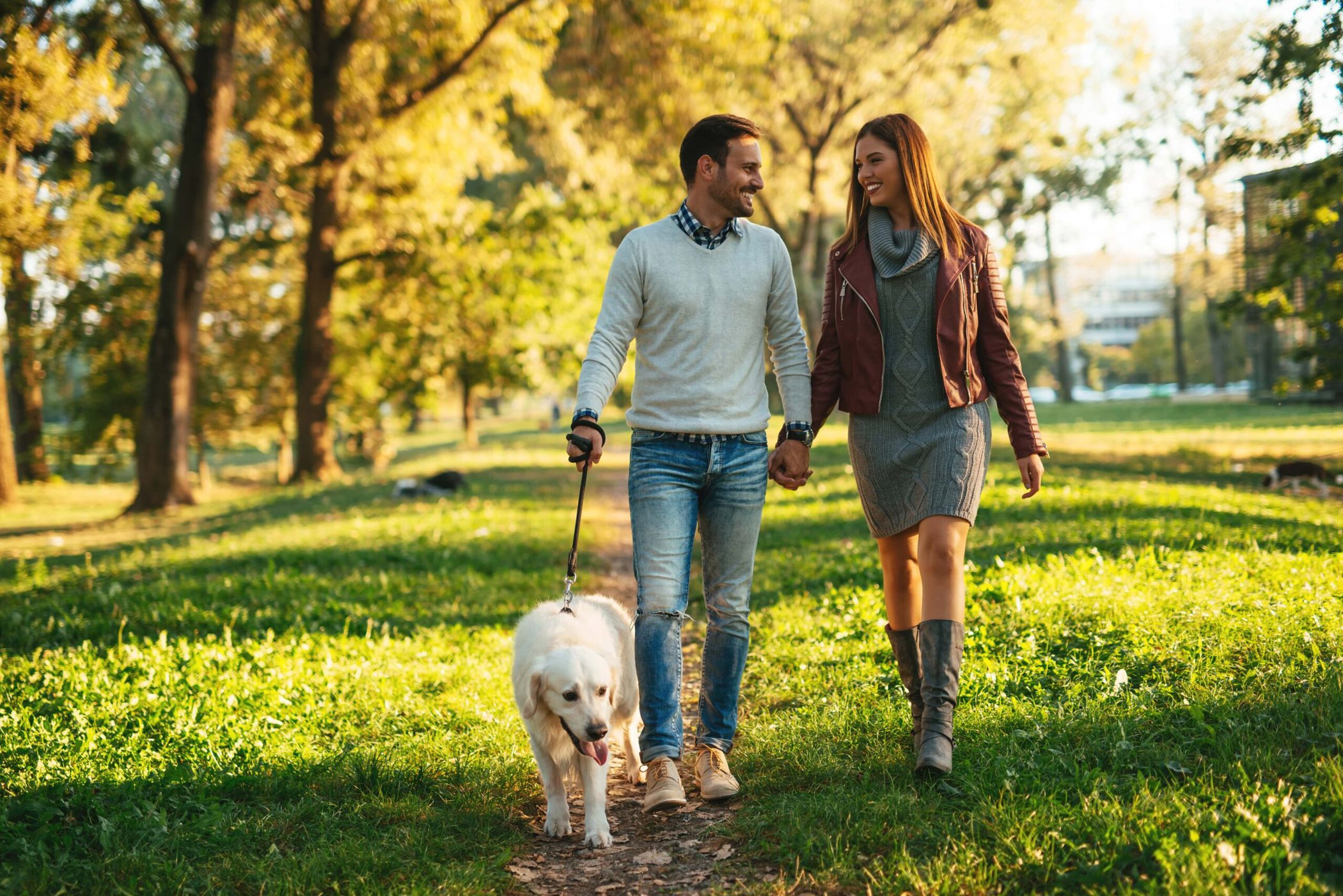 N Pic Couples Outdoors Park Walking Dog