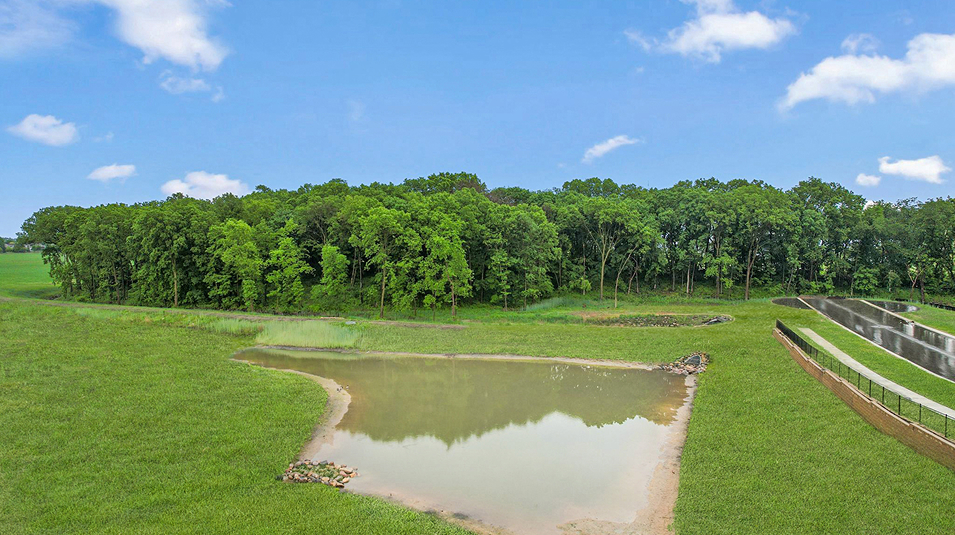Arbor Bluff Amenity Pond (Pond in Arbor Bluff)