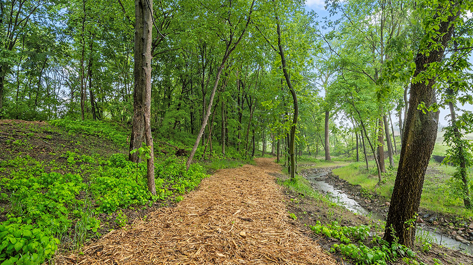 Arbor Bluff Amenity Trail (Trail in Arbor Bluff)