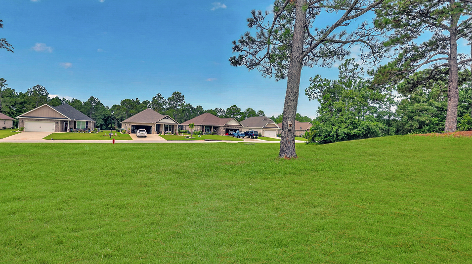 Glenlakes Amenity Greenbelt (Greenbelt in Glenlakes)