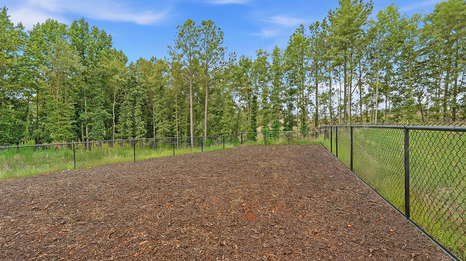 Mahaffey Place Amenity Dog Park (Dog Park in Mahaffey Place)