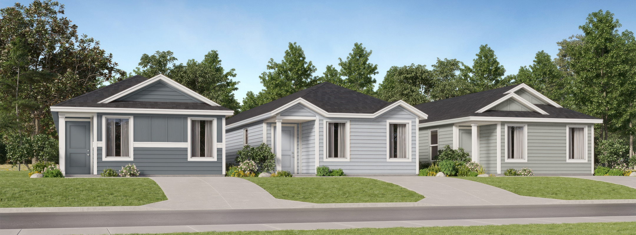 Broadview Collection