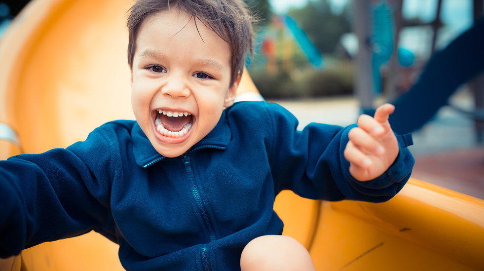 N Pic Kids Playground Boy Slide Closeup Shutterstock 181990121 (Tot Lot in The Townes at Holly Hills)