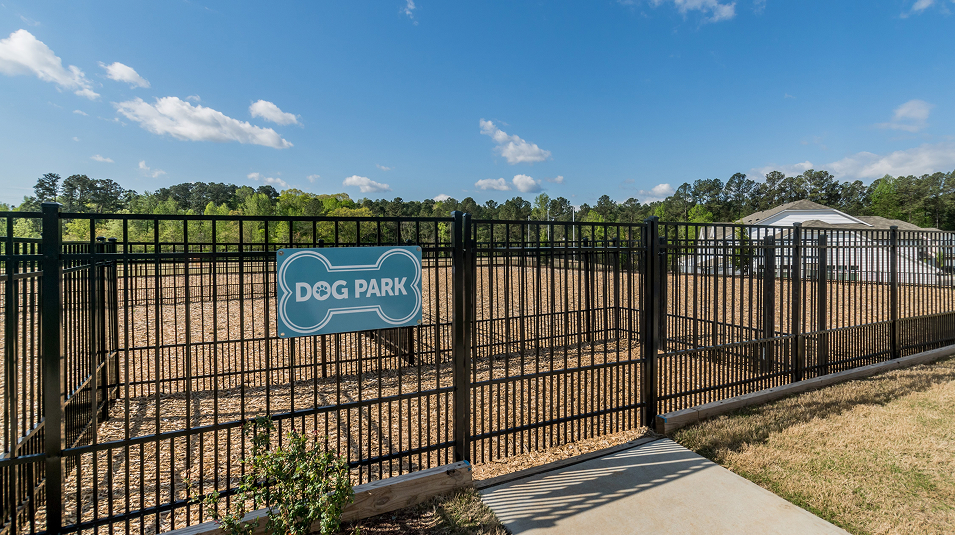 Divisional Amenity Dog Park (Dog Park in Elmbrook)